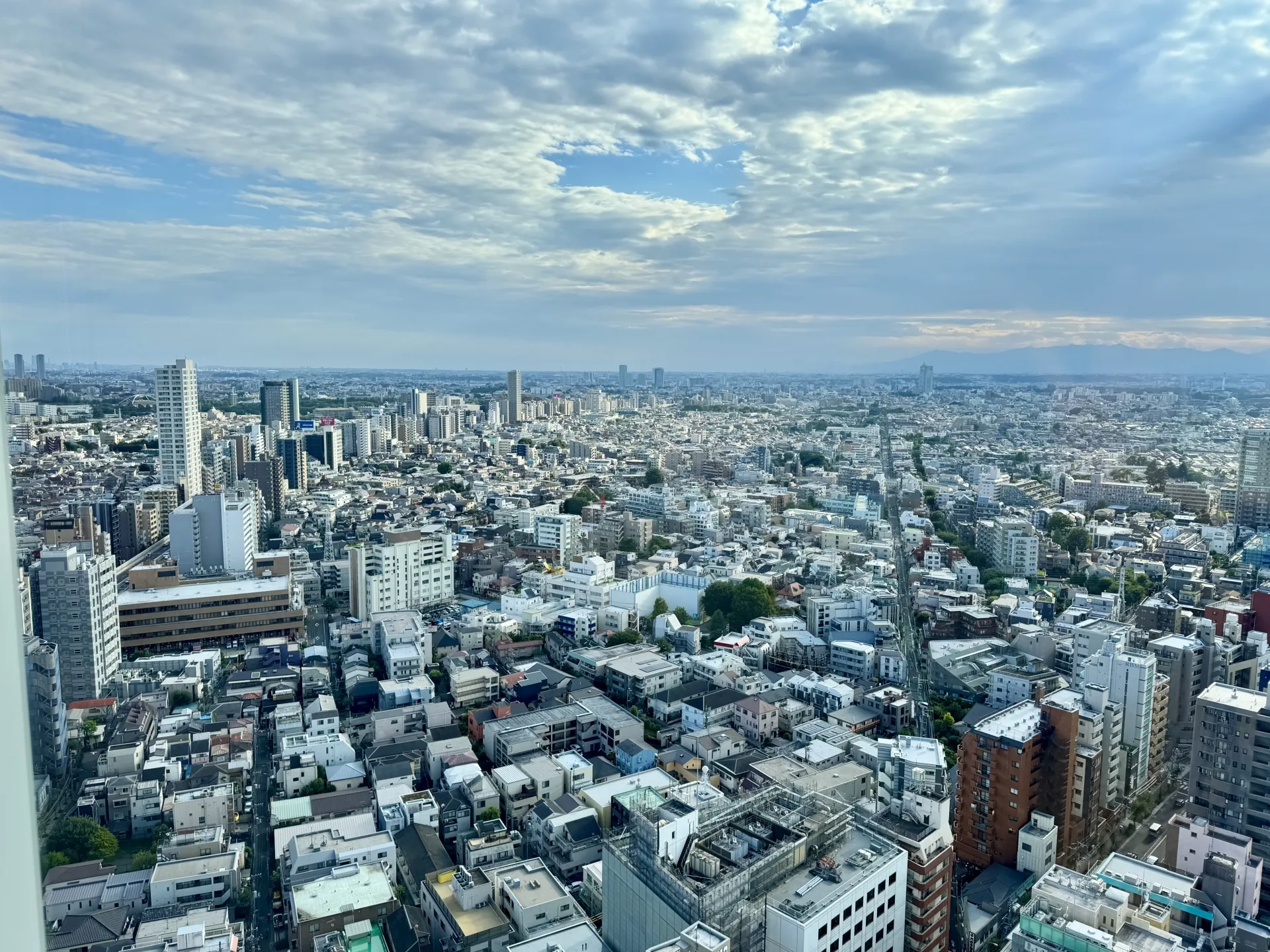 東京都世田谷区のキャロットタワーからの展望